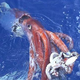 Illustration for article titled Giant Squid Turned Into Plastinated Taxidermy Exhibit